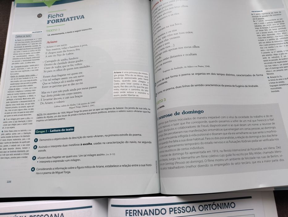 Português 12+ caderno de atividades +síntese de educação literária