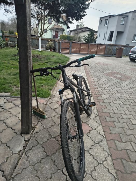 Rower rockraider st 120 CUSTOM opis
