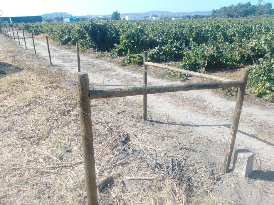 Limpeza de terrenos e vedaçoes