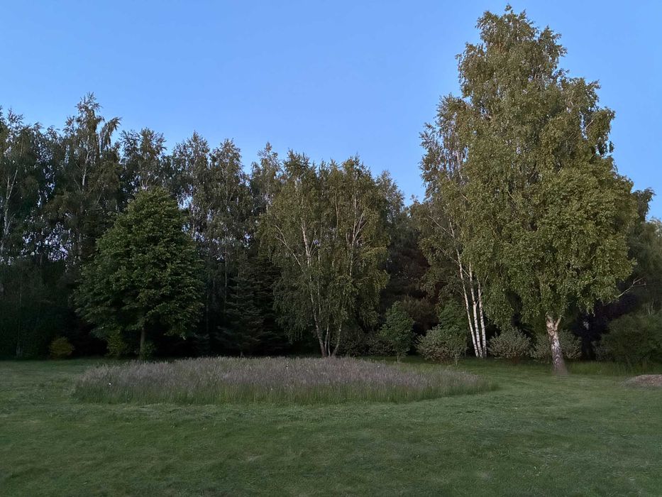 Działka budowlana - Dobieszków k. Łodzi - bezpośrednio - 2184m - zieleń, cisza, natura blisko miasta - View 5