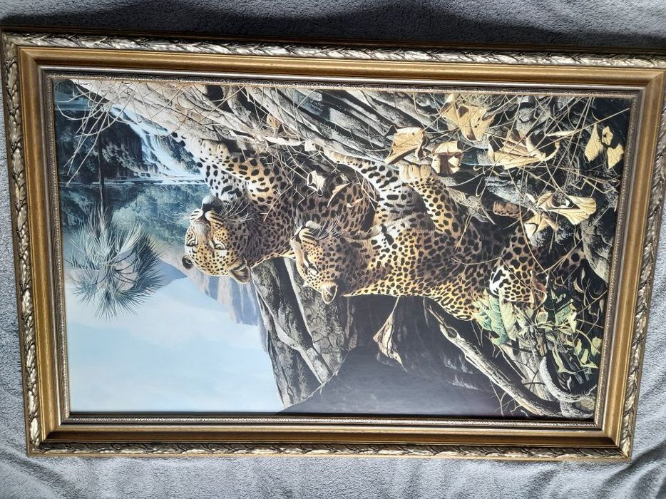 Duży obraz "Leopard Sentry" Craig Bone