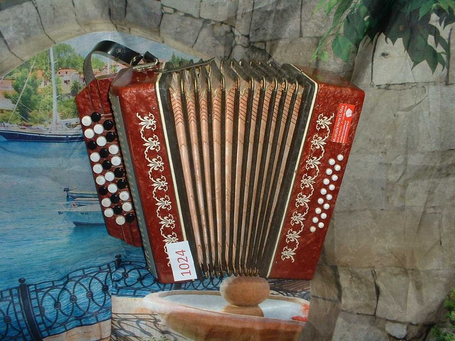Promoção de Acordeões de concertinas