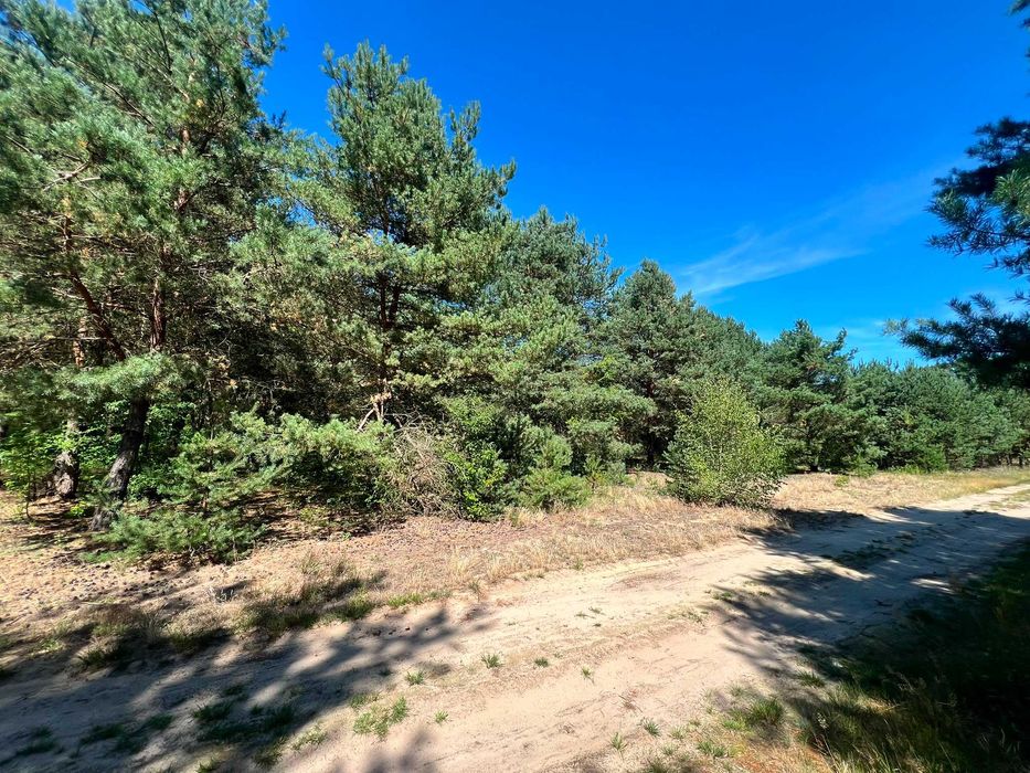 Działka budowlana 1442 m² na skraju lasu – Władysławów (97-225) - Widok 5