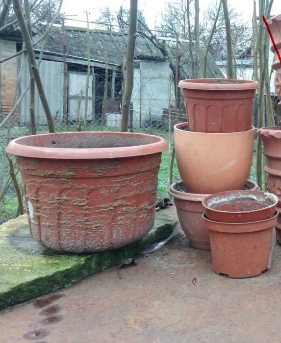Горщики для квітів.