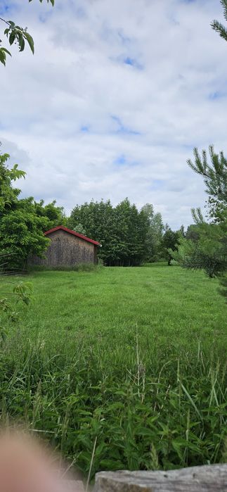 Sprzedam działkę w Pieczyskach  Łowickich 6000m2-37.5zł/m2