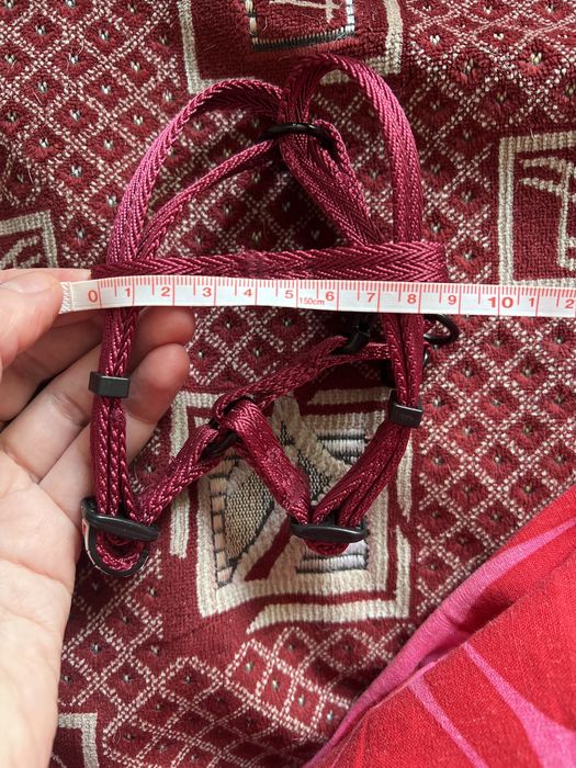 Ошейник для кота чи собаки