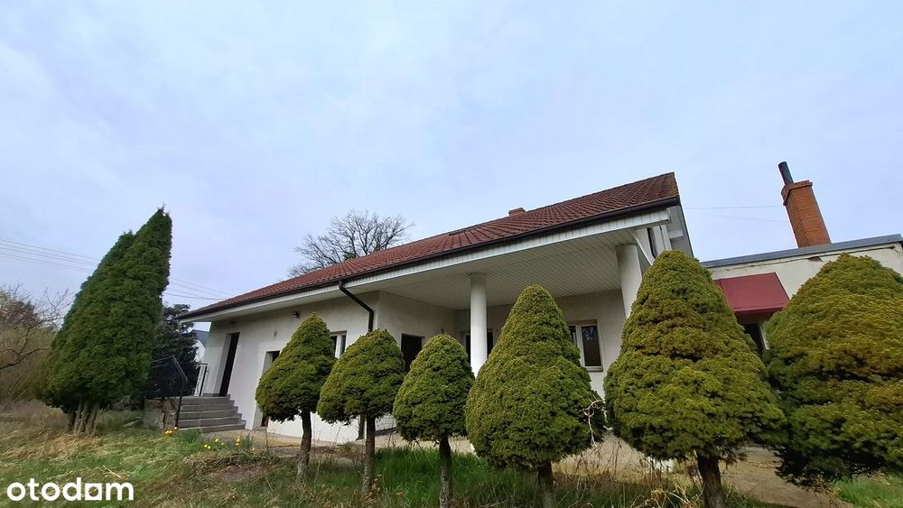 Dom 200m2 na wielkiej działce-świetna lokalizacja, ATRAKCYJNA CENA!