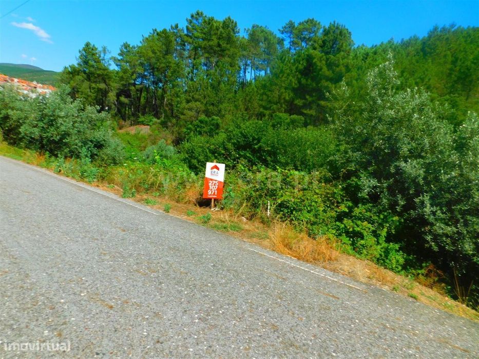 Terreno / Castelo Branco, São Vicente da Beira
