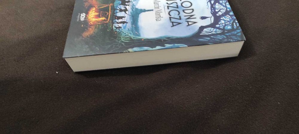 Marcin Mortka Głodna Puszcza