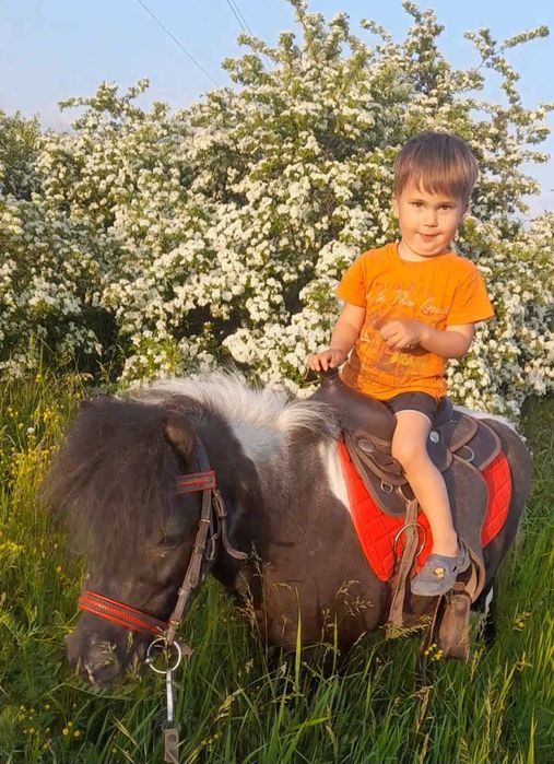 Іпотерапії для дітей, катання на поні