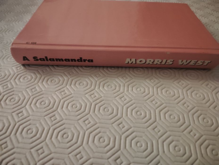 Livro de Romance A Salamandra Novo