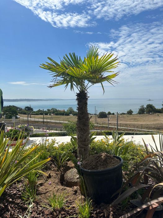 Servicos de jardinagem