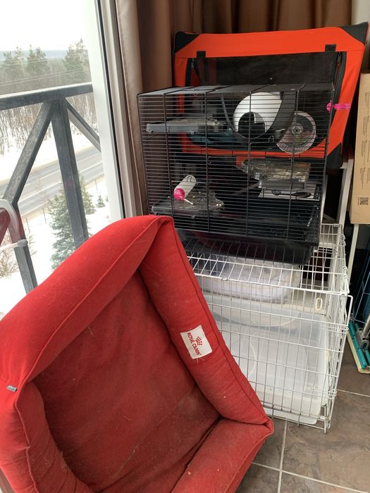 Клетка складная для собак с поддоном 76*62см