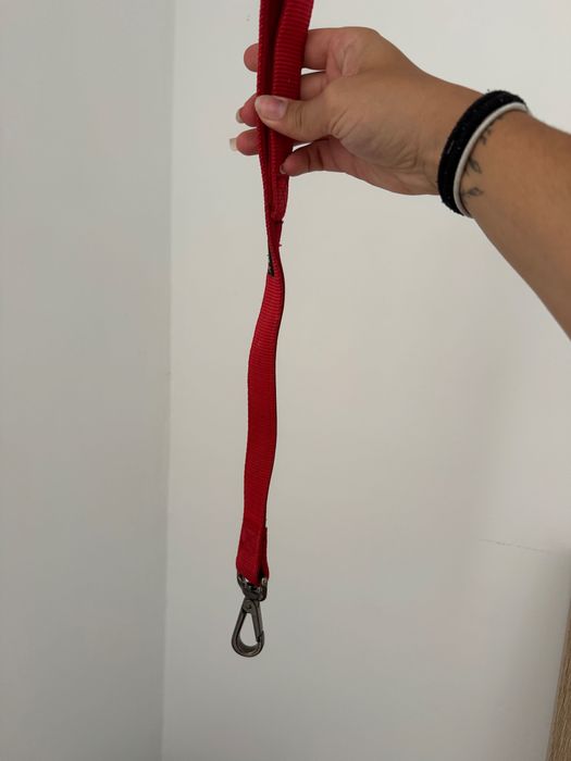 Itens de Cão - Cama, Repelente, Ração, Bola etc