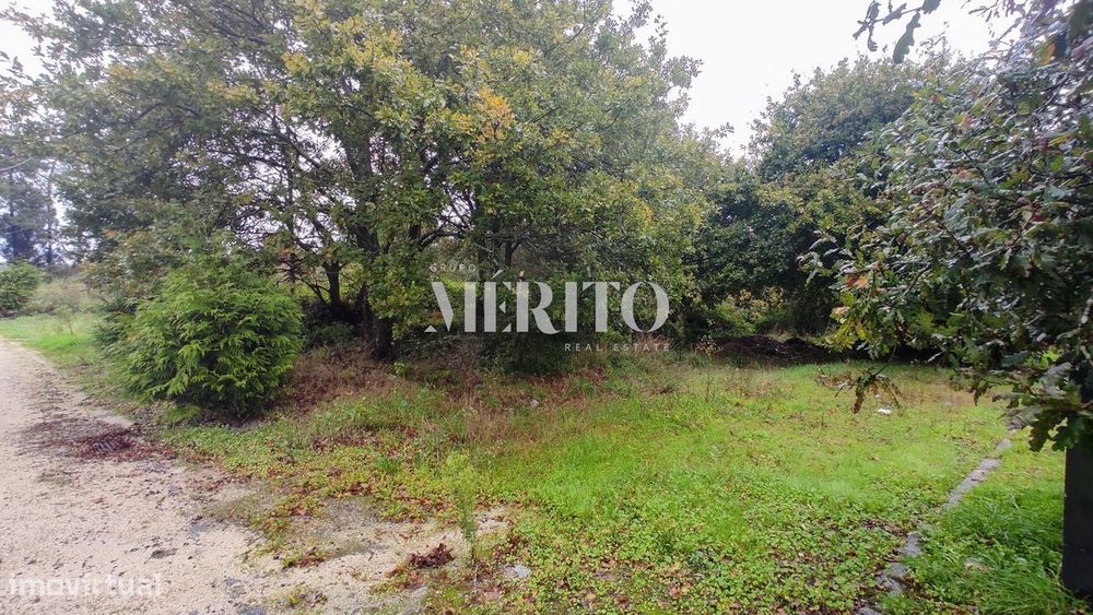 Terreno  com 16.700 m2 em Argivai