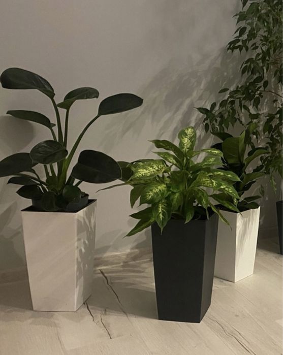 Zestwa 3 donic kwietnik  z wkladem antracyt okazja donica taras