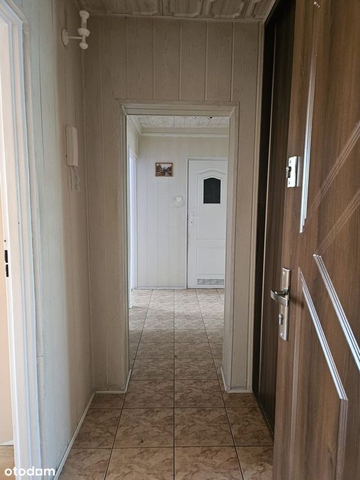 Zdjęcie 8