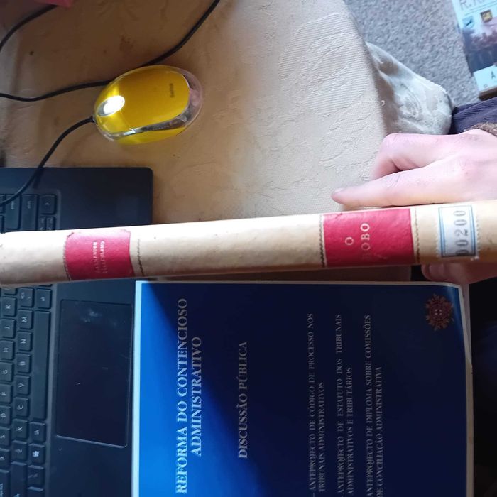 Alexandre Herculano, O bobo (encadernado)