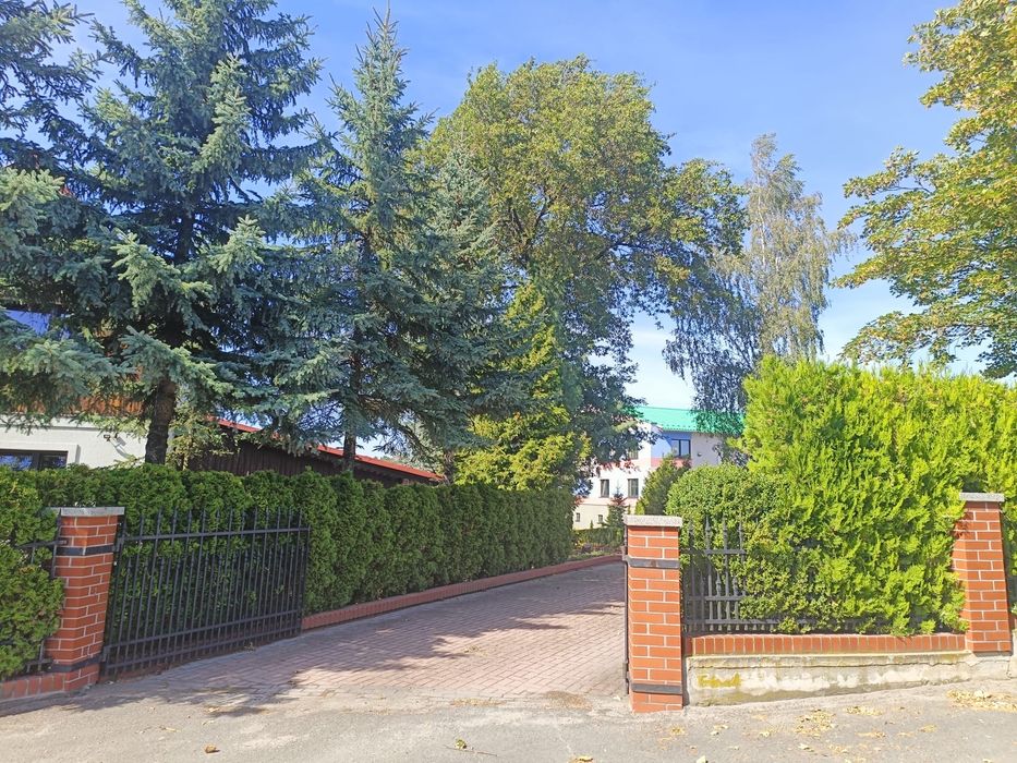 Dom – Świdnica - Widok 5