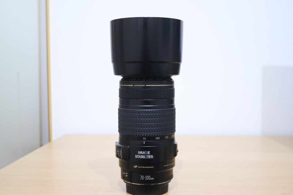 Canon EF 70-300 mm F/4-5.6 IS USM