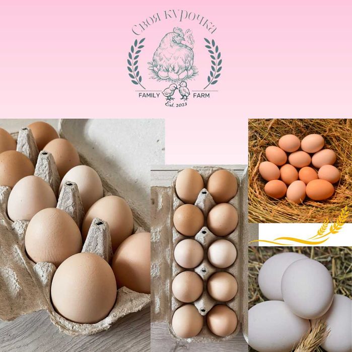 Домашні курячі яйця