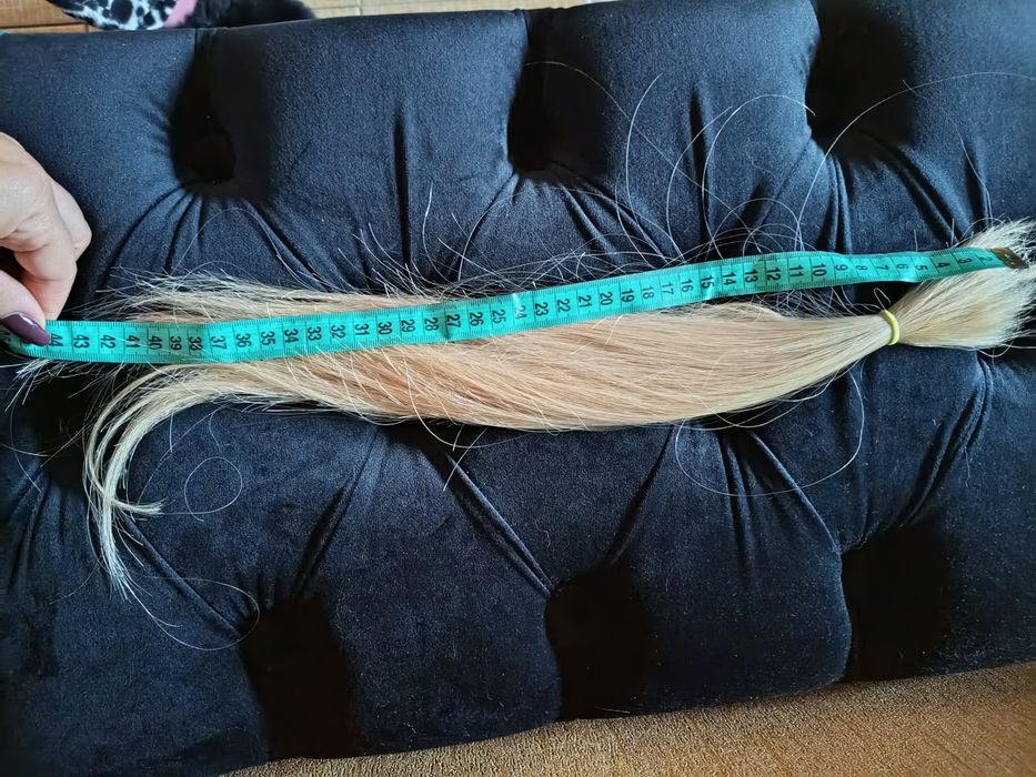 Волосся слов'янське натуральне світле та чорні на тресах