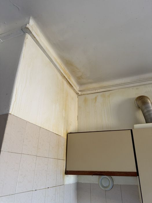 Serviço delimpeza