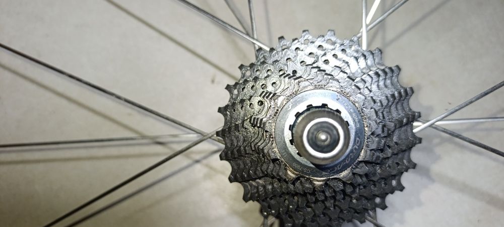 Rodas de carbono Zipp Calco