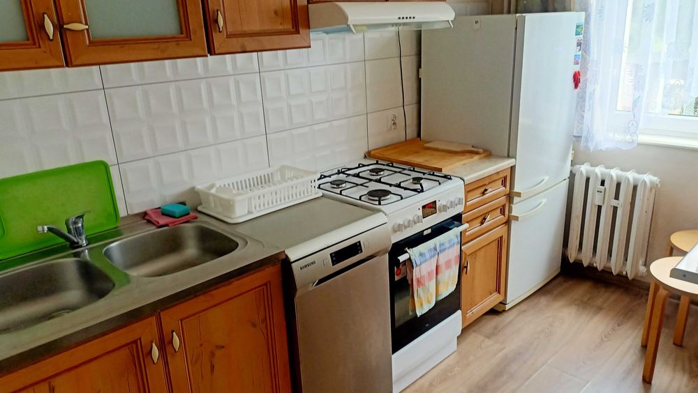 Pokój dla studenta wynajmę