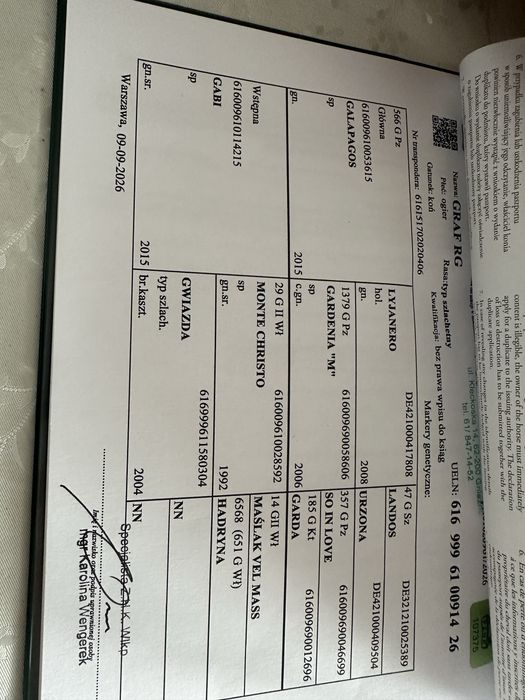 Szprzedam ogiereka odsadek