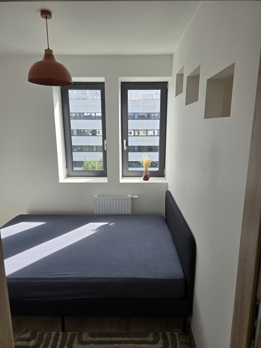 Mieszkanie Centrum wynajem