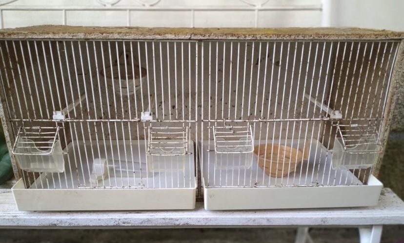 Gaiola para pássaro