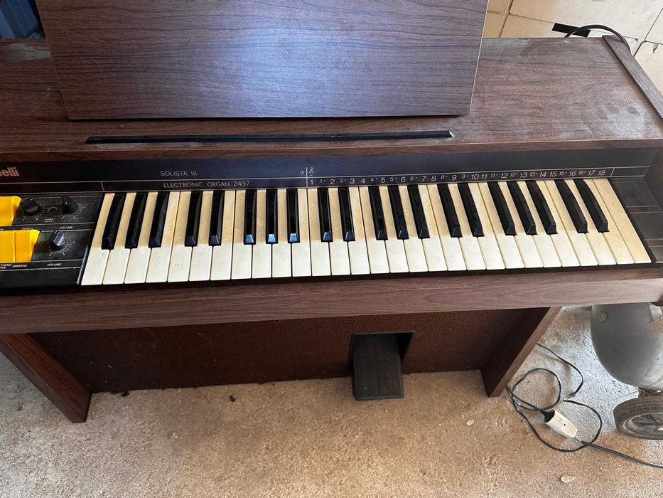 Orgão Antonelli Usado