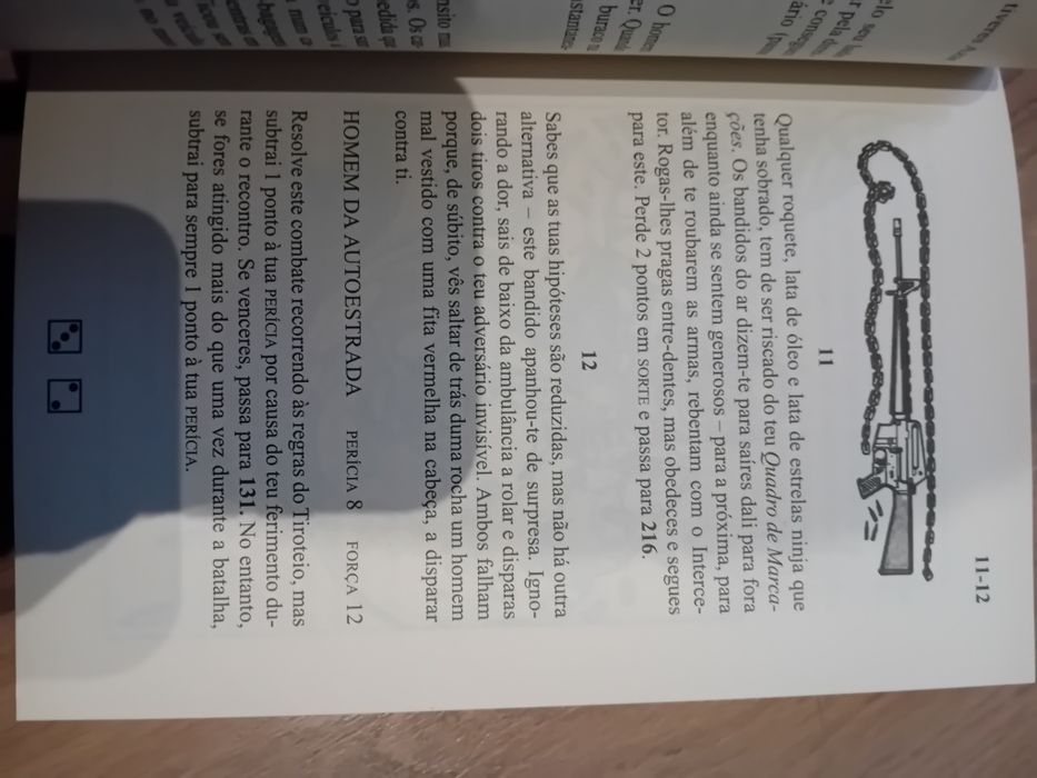 Aventuras fantásticas • O Guerreiro da Autoestrada - Yan Livingstone