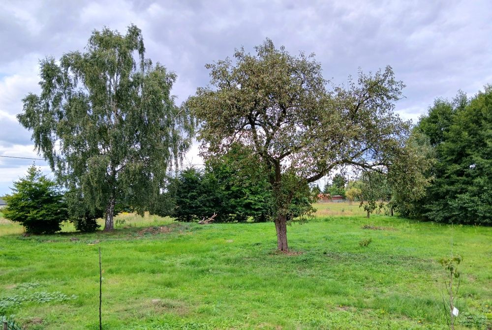 Dom – Gorzów Wielkopolski, Stare Miasto - Więcej