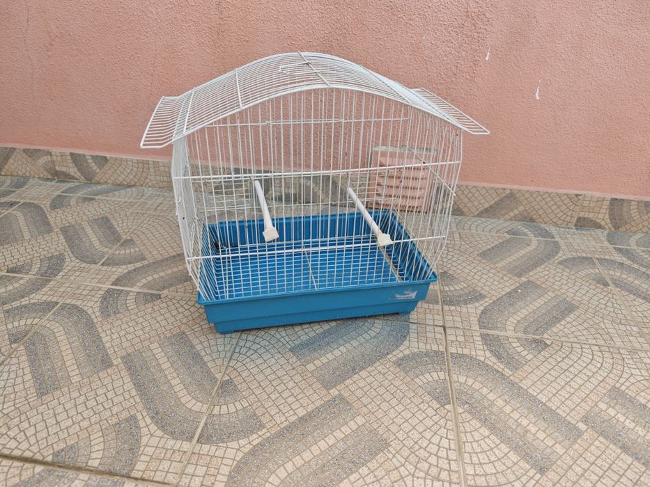 Gaiola como nova