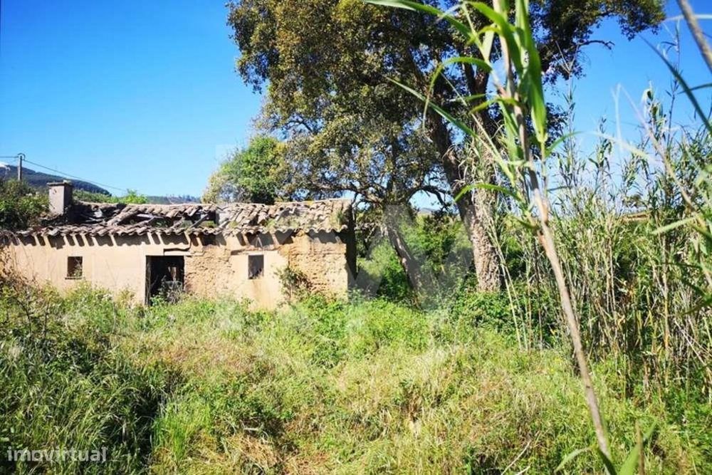 Quinta São Teotónio | com 3 Habitações Urbanas