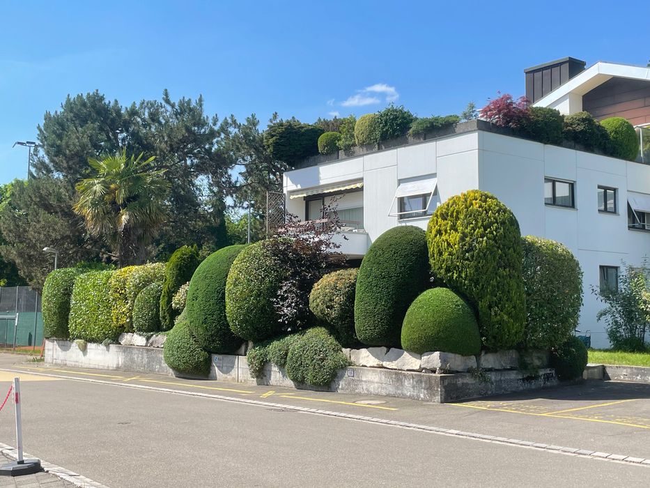 Jardinagem e manutenção