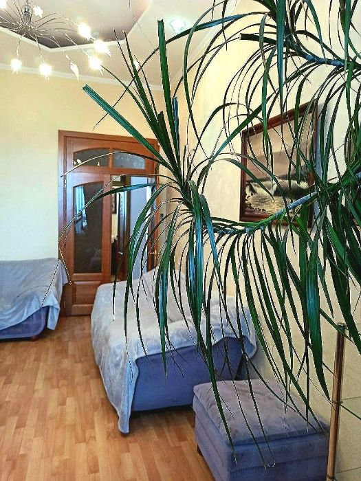 Своя. Центр ,Кёльнский бул. СВЕТ есть ВСЕГДА. Квартиры посутчно