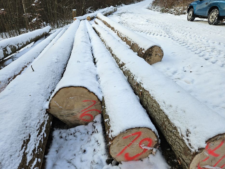 Drzewo tartaczne dachowe dłużyca jodła dąb