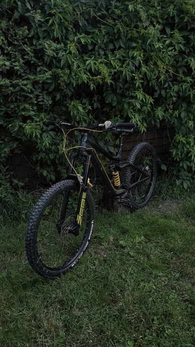 Dartmoor Thunderbird