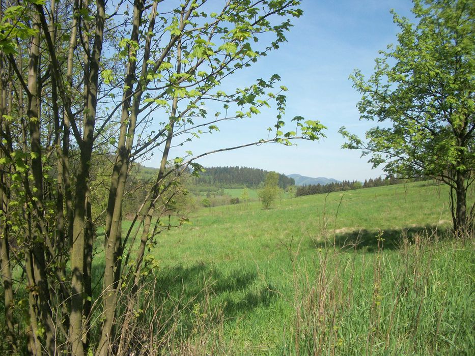 działka  w Bartnicy na sprzedaż