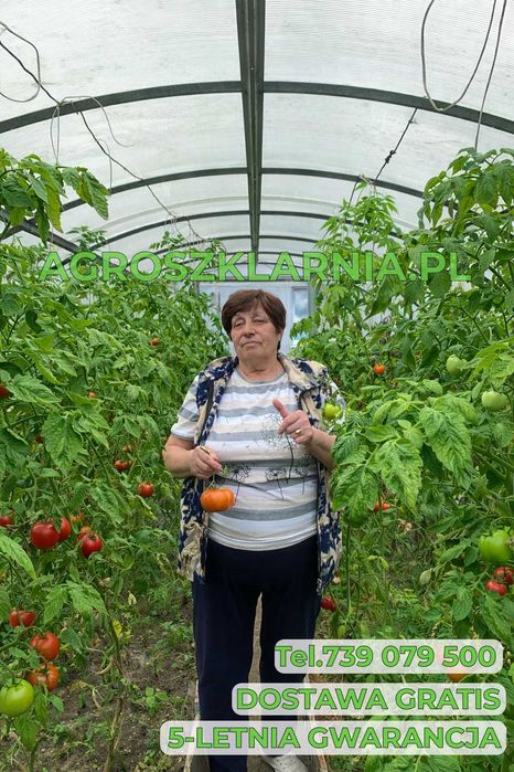 Szklarnia Tunel 3x4,3x6m itd ocynk poliwęglan 4mm i 6mm Dostawa Gratis