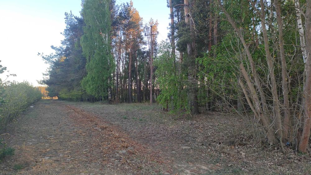 Atrakcyjna działka 6700 m² (0,67 ha) – Ossowice, gm. Cielądz.