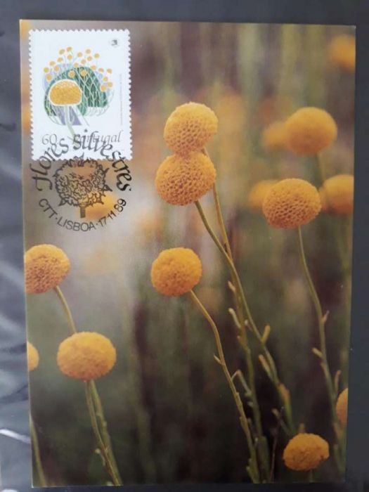 4 Inteiro postal 1989