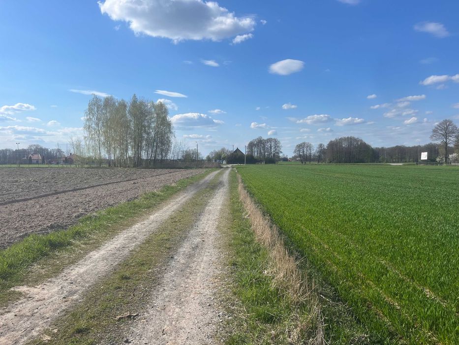 Działki budowlane w miejscowości Karwów pod Łukowem