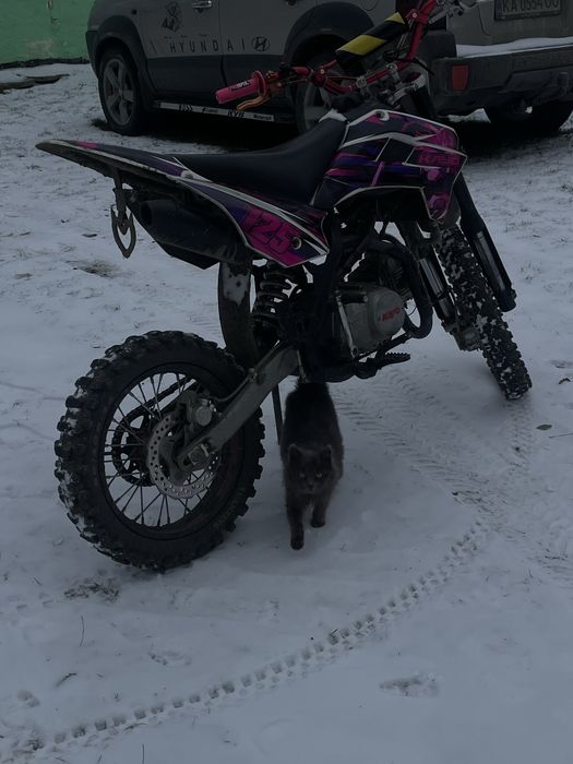 Kayo tt 125 2024 years