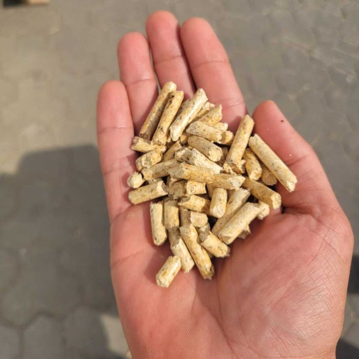 Pellet drzewny jasny (sosnowy) A1 ENplus - hurtowe dostawy