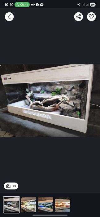 Terrarium promocja