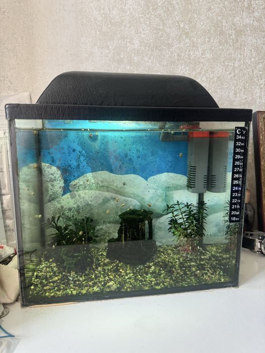 Акваріум 30х25х20 16 літрів.